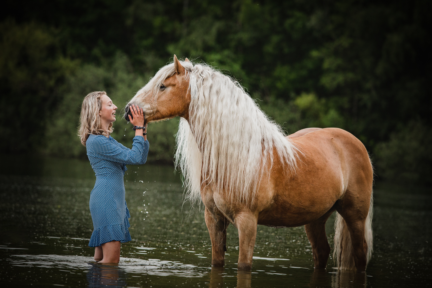 Paardenfotograaf Drenthe, Groningen, Friesland en Overijssel