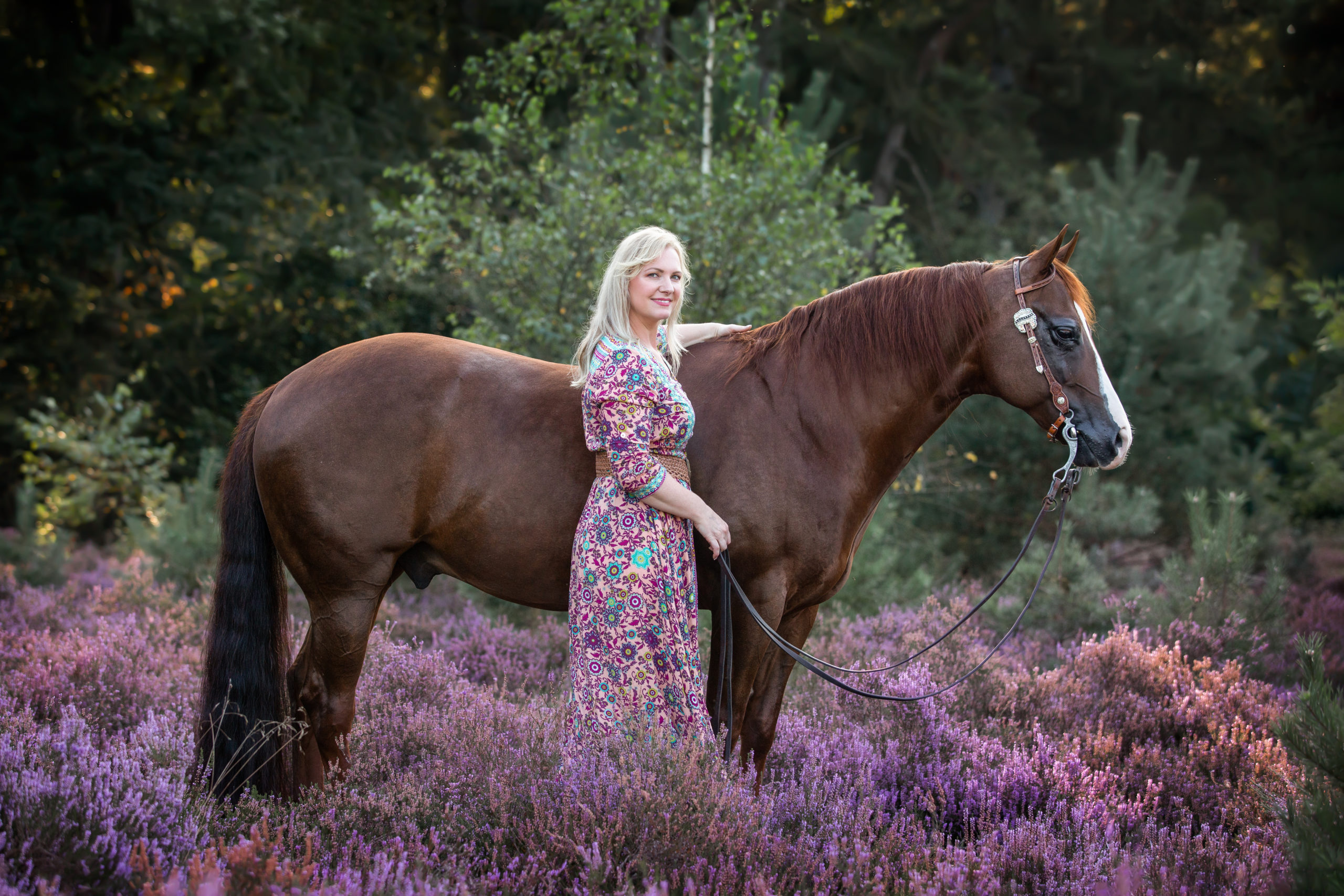 Fotoshoot met je paard